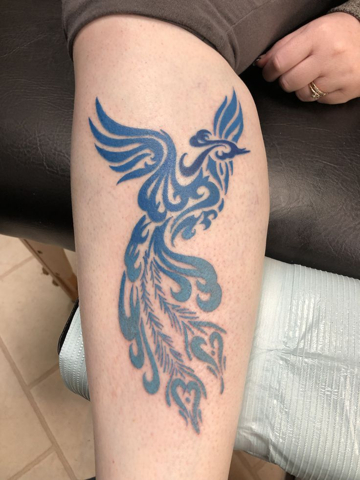 blue phoenix from Pinterest 